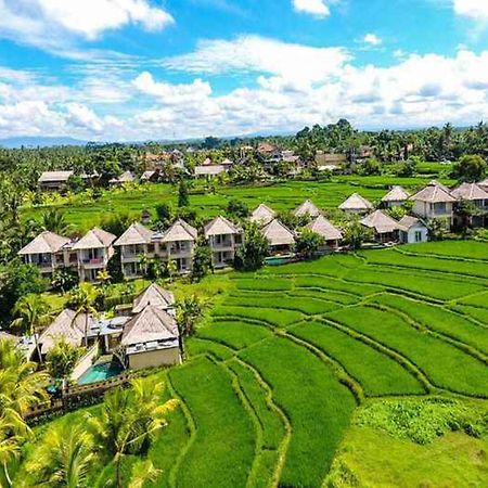 Mesari Hotel Ubud Εξωτερικό φωτογραφία