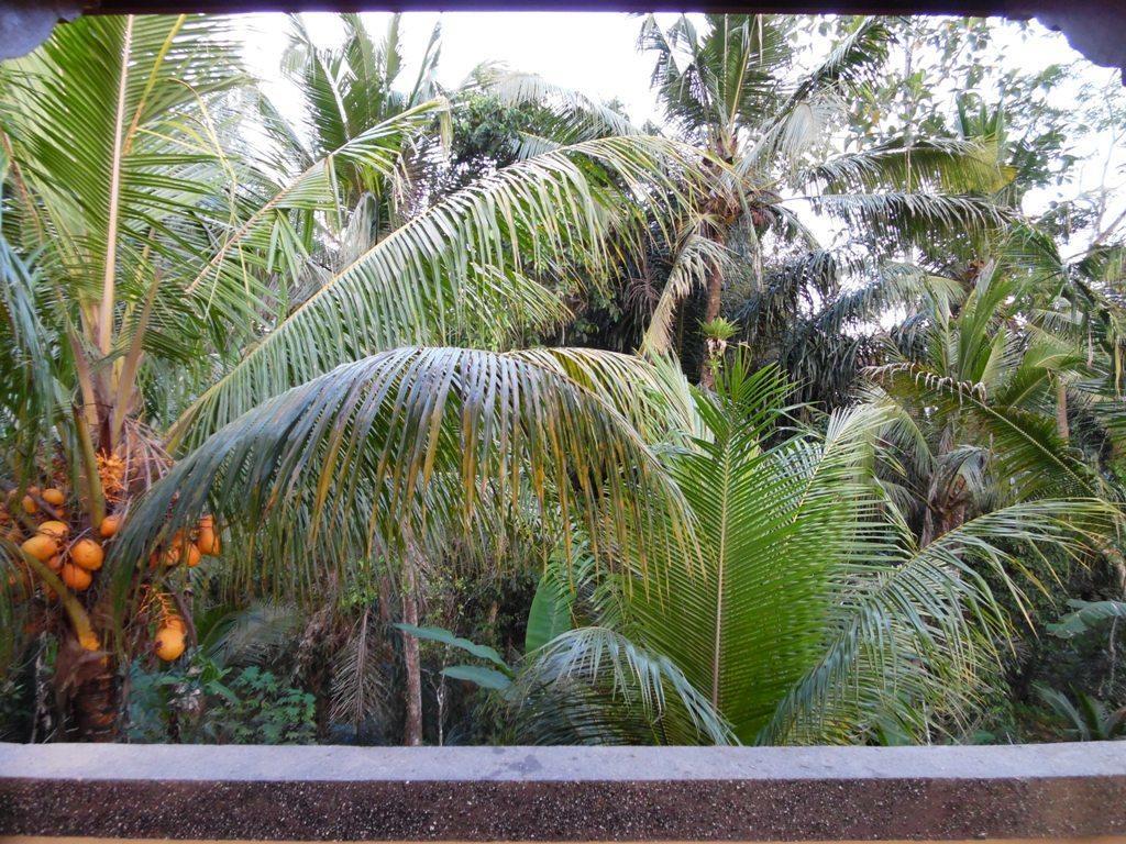 Mesari Hotel Ubud Εξωτερικό φωτογραφία