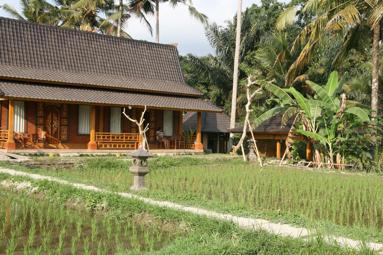 Mesari Hotel Ubud Εξωτερικό φωτογραφία
