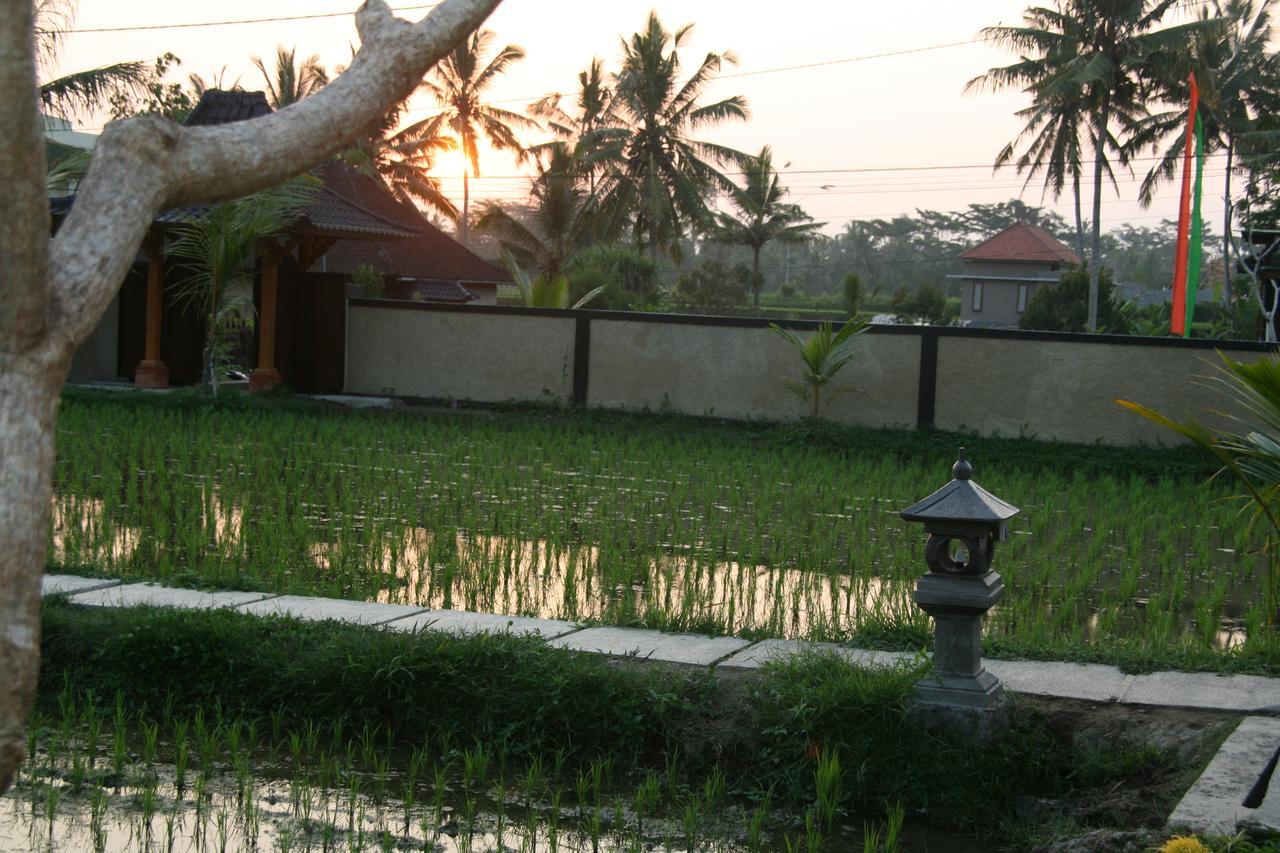 Mesari Hotel Ubud Εξωτερικό φωτογραφία