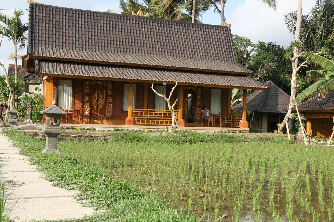 Mesari Hotel Ubud Εξωτερικό φωτογραφία