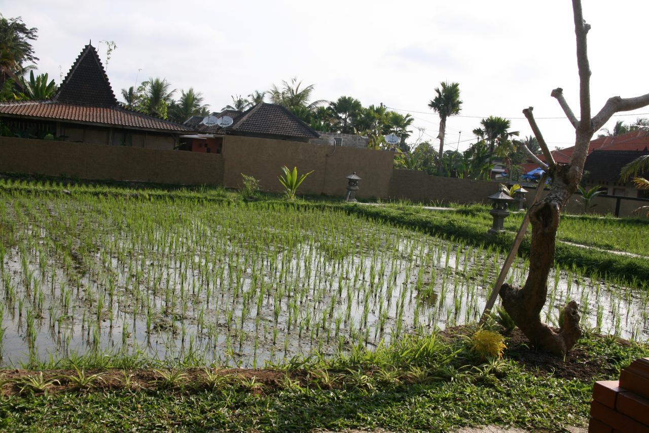 Mesari Hotel Ubud Εξωτερικό φωτογραφία