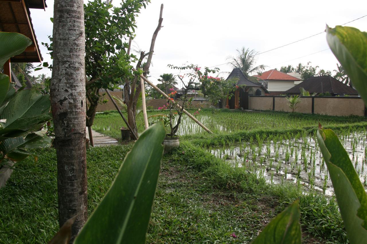 Mesari Hotel Ubud Εξωτερικό φωτογραφία